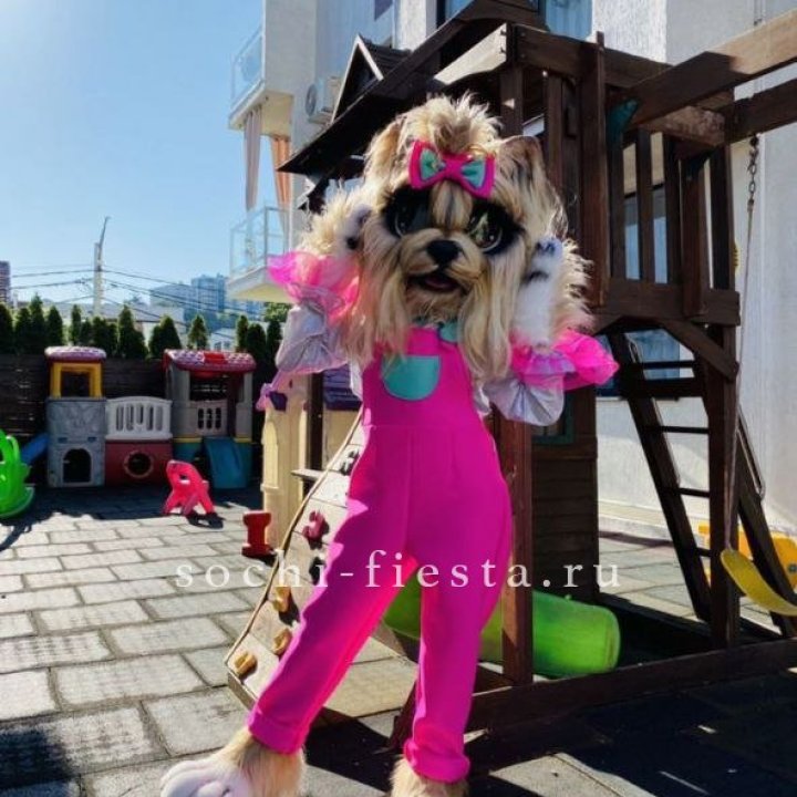 Аниматор Гламурная Собака в Краснодаре
