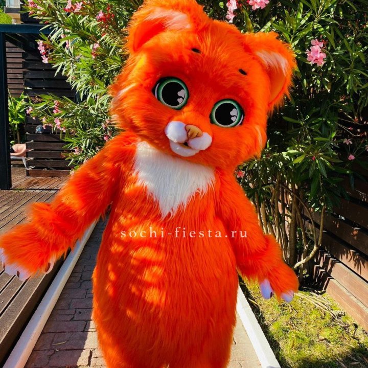 Аниматор Котик в Краснодаре