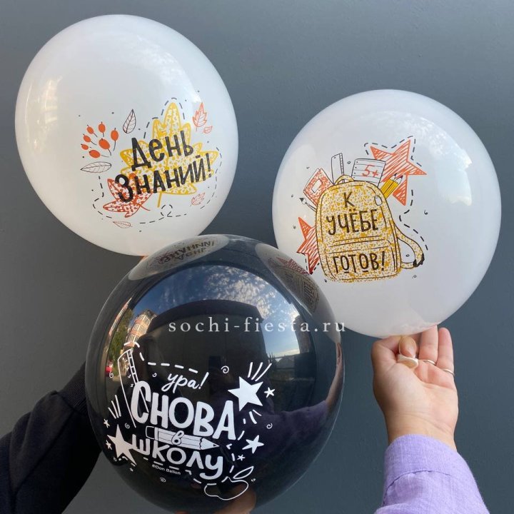 Воздушный шар к 1 сентября в Краснодаре