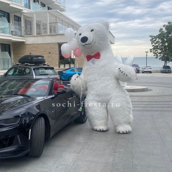 Аниматор Белый Медведь в Краснодаре