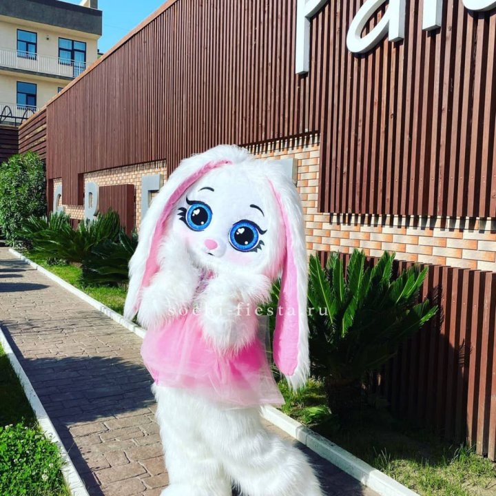 Аниматор Зайка в Краснодаре