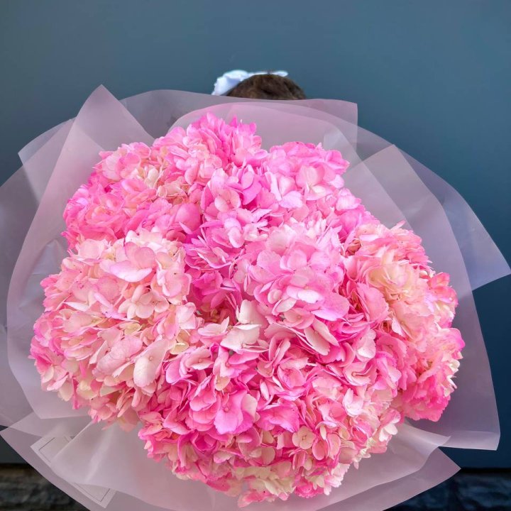 9 ярко розовых гортензий в Краснодаре