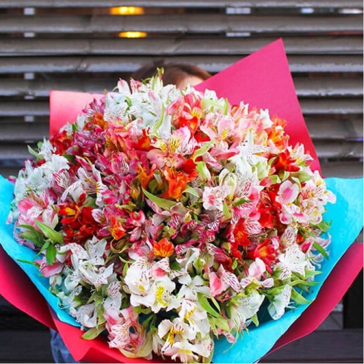 101 альстромерия в Краснодаре