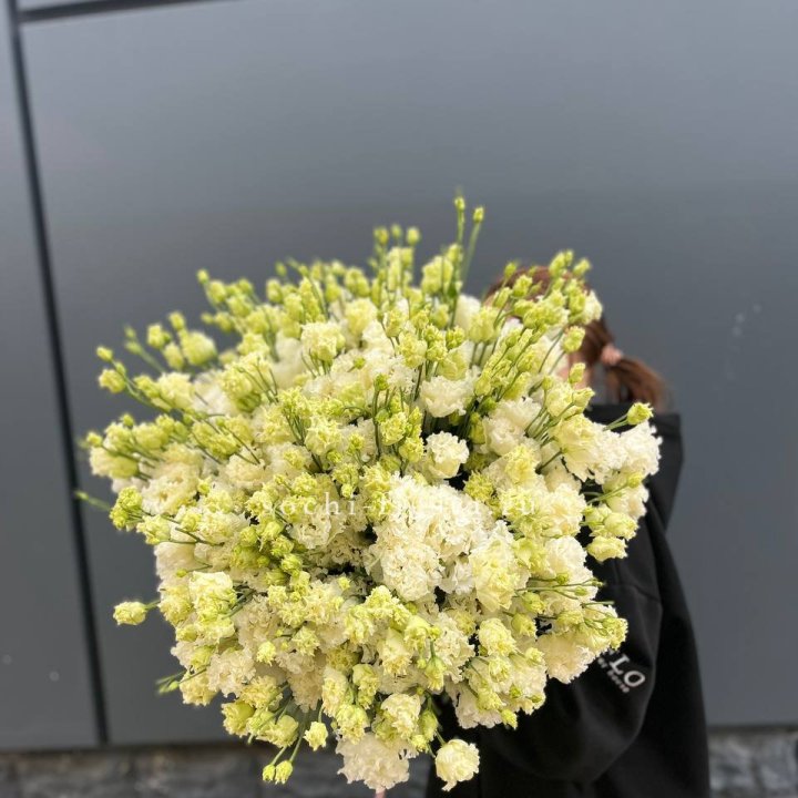 51 белая эустома в Краснодаре