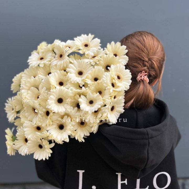 51 гербера в Краснодаре