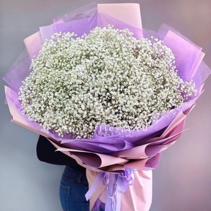 Облако белых гипсофил в Краснодаре