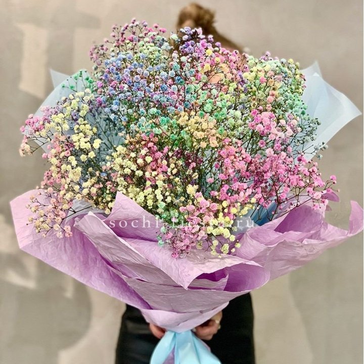 Радужные гипсофилы №2 в Краснодаре