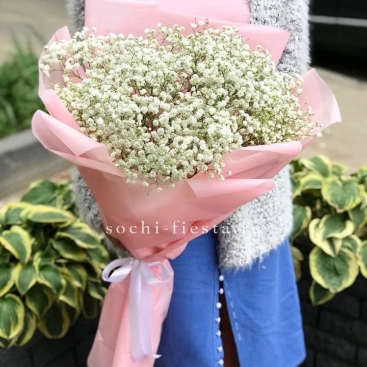 Белоснежные гипсофилы в Краснодаре