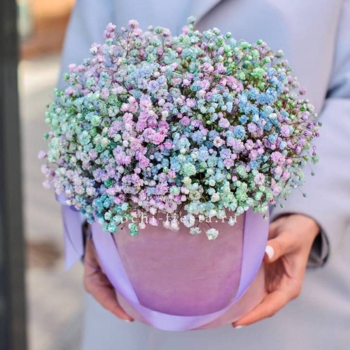 Гипсофилы в шляпной коробке "Кандилайт" в Краснодаре