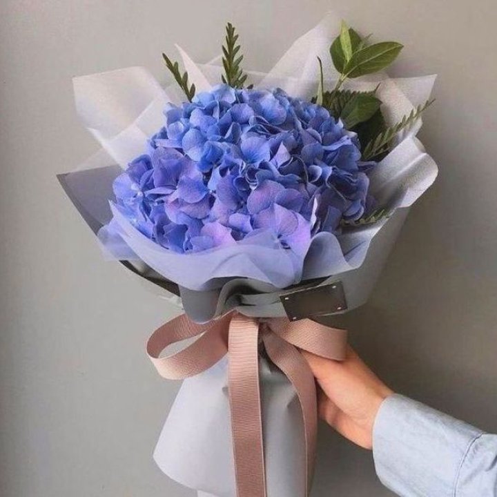 Гортензия голубая в Краснодаре