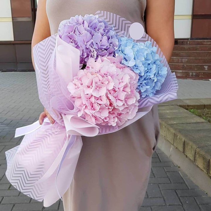 Букет гортензий "Пуф" в Краснодаре