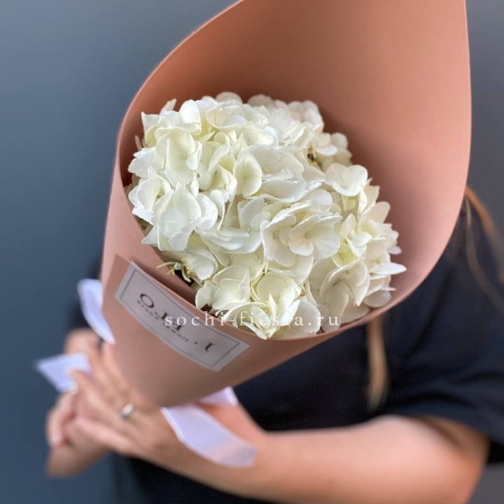 Гортензия в конверте в Краснодаре