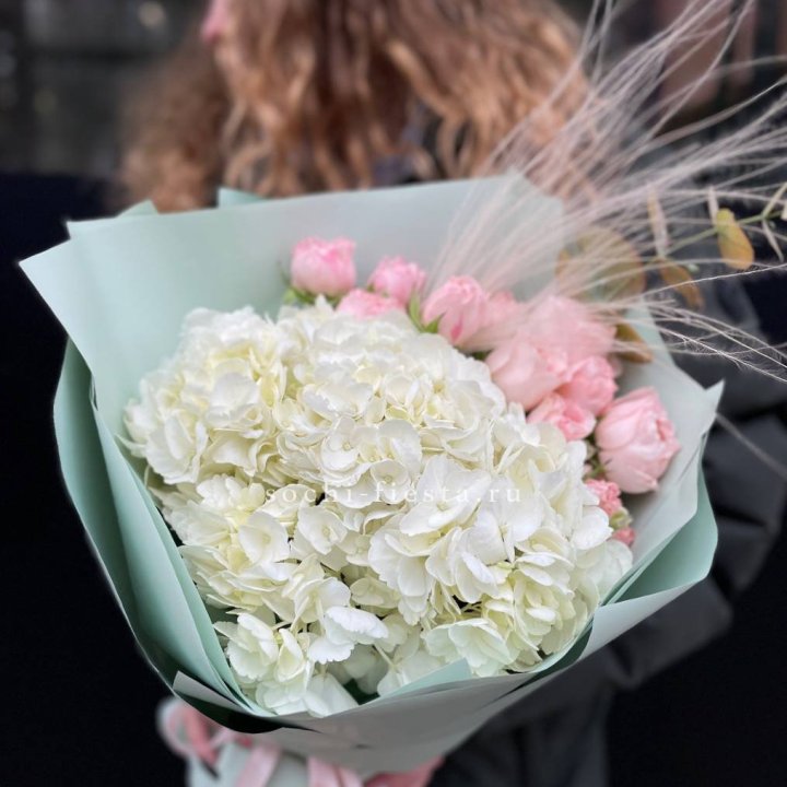 Гортензия "Жасмин" в Краснодаре