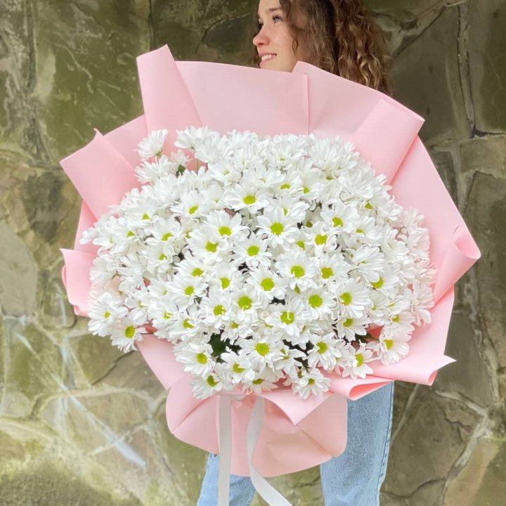  Букет хризантем "Крем" в Краснодаре