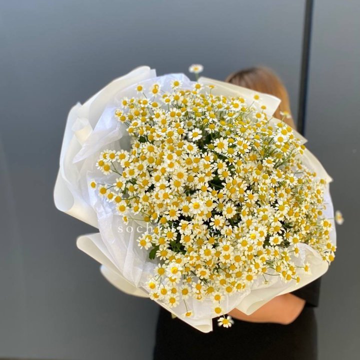 Букет ромашек "Фемели" в Краснодаре