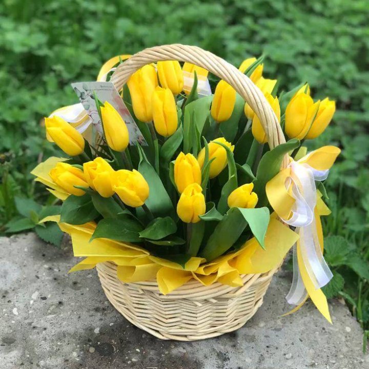 25 желтых тюльпанов в корзине в Краснодаре