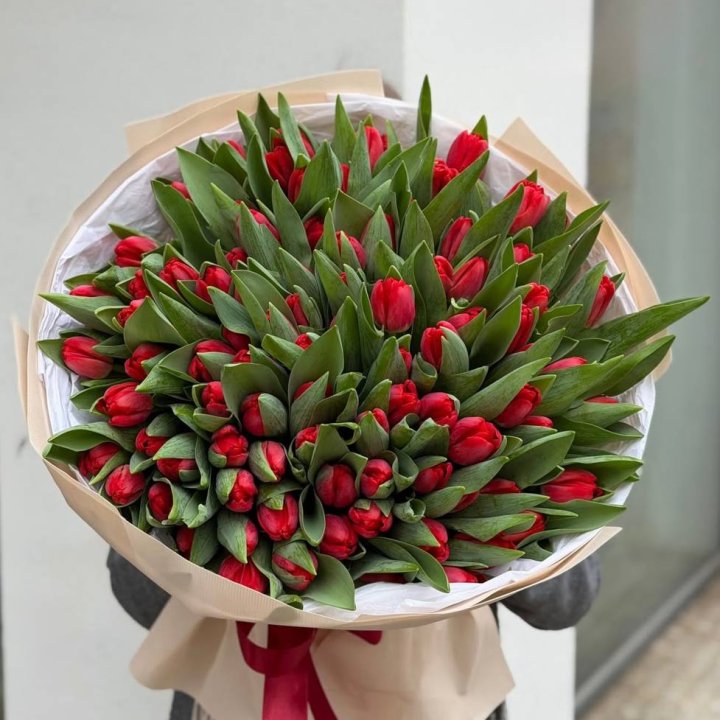 101 красный тюльпан в Краснодаре