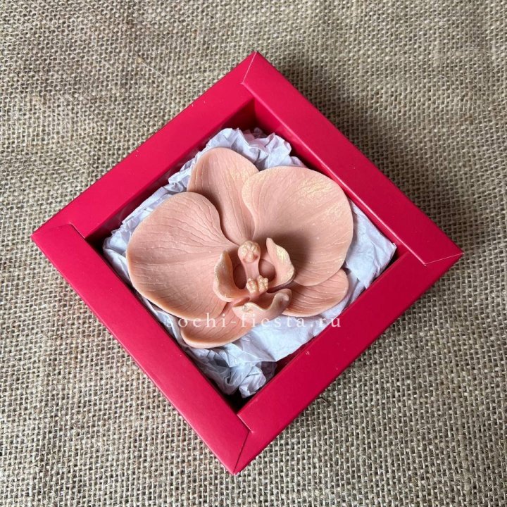 Бельгийский шоколад Орхидея в Краснодаре