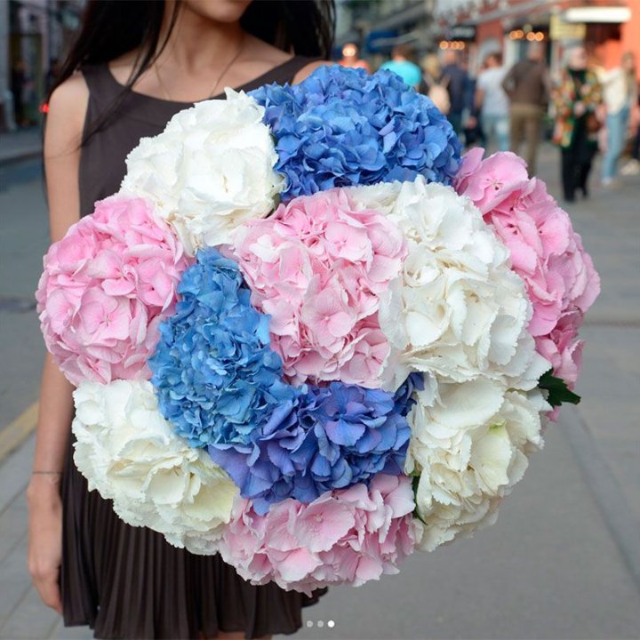 Букет гортензий "Инь-Янь" в Краснодаре