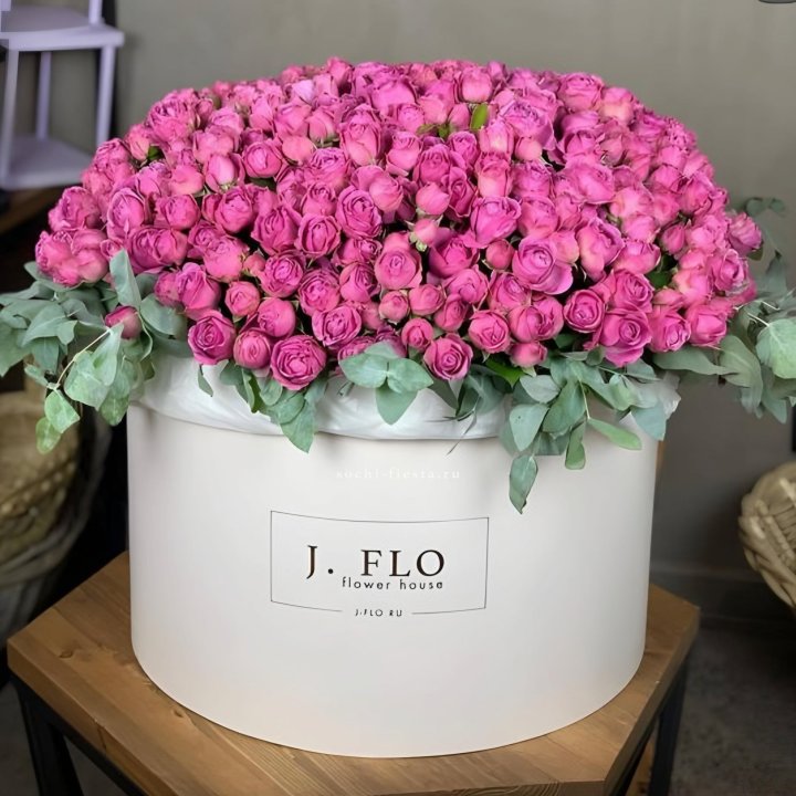 Цилиндр с Мисти Бабблс  в Краснодаре