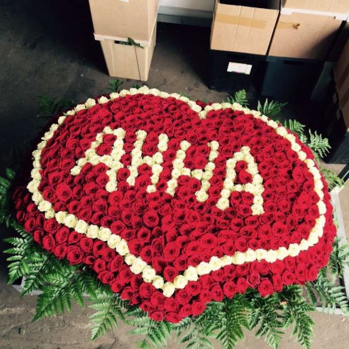 555 роз с именем в Краснодаре
