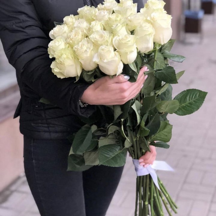 Голландские розы белые в Краснодаре