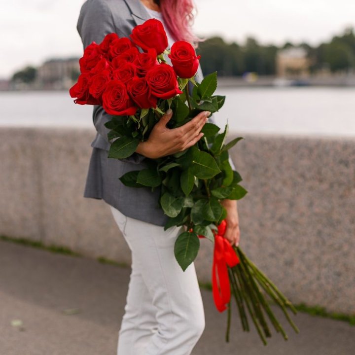 15 метровых голландских роз в Краснодаре