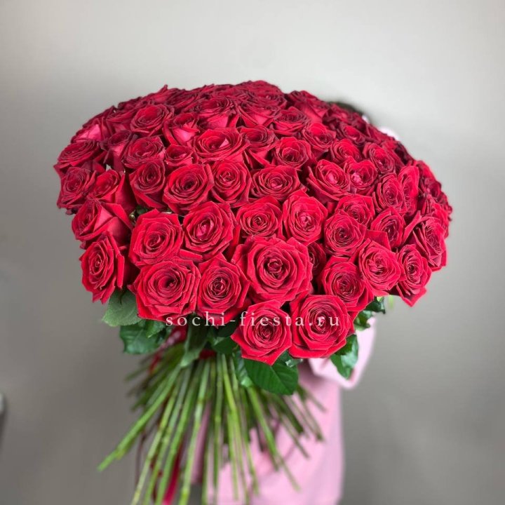 101  голландская роза  в Краснодаре