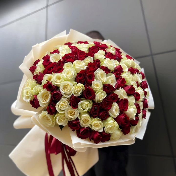 101 высокая импортная роза  в Краснодаре