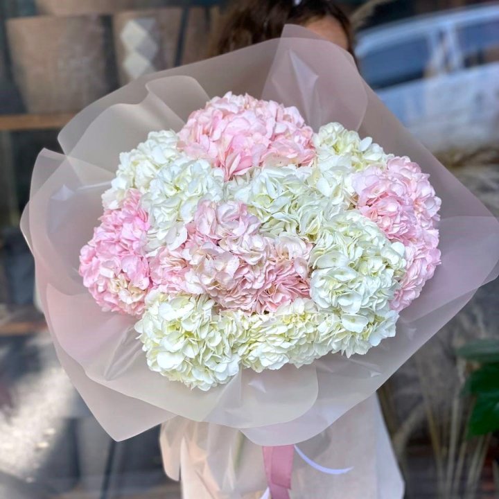 Букет гортензий № 3 в Краснодаре