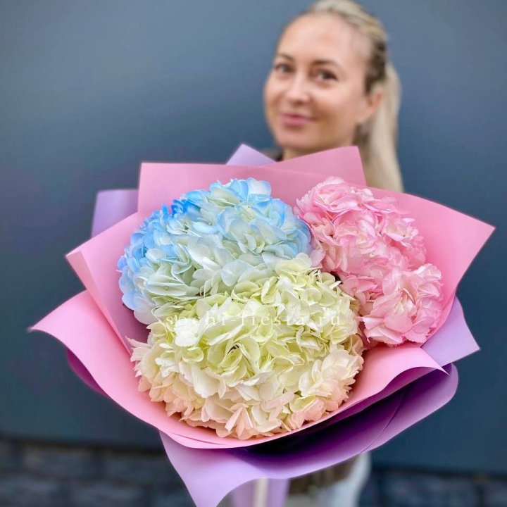Букет гортензий "Тоника" в Краснодаре