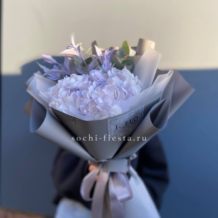Гортензия "Виолета" в Краснодаре