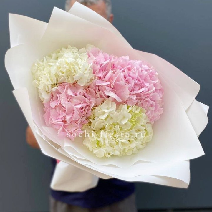 Букет гортензий №5 в Краснодаре