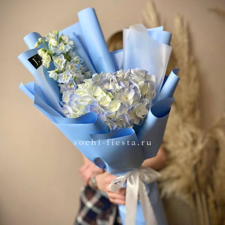 Гортензия "Блю скай" в Краснодаре