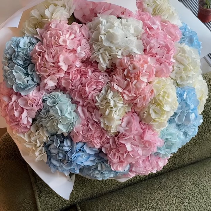 Букет гортензий микс в Краснодаре