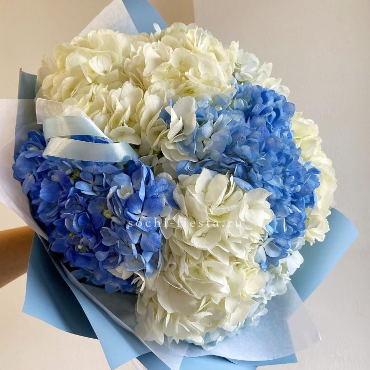 Букет гортензий "Голубая лаза" в Краснодаре