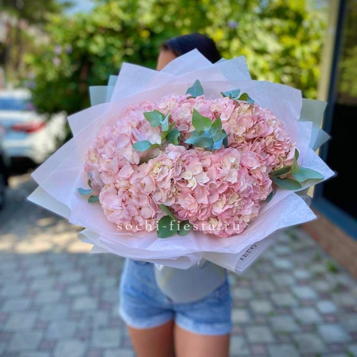 5 розовых гортензий  в Краснодаре