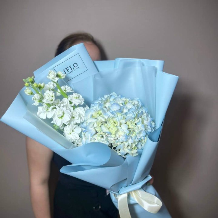 Гортензия голубая с маттиолой в Краснодаре