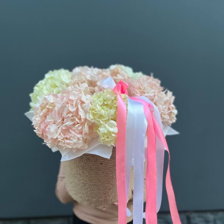 7 гортензий в кашпо в Краснодаре