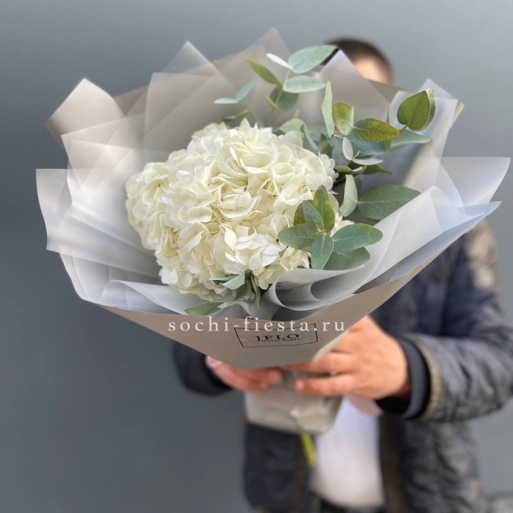 Букет  из белой гортензии в Краснодаре