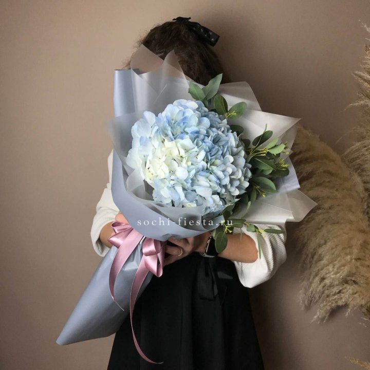 Гортензия Уно в Краснодаре