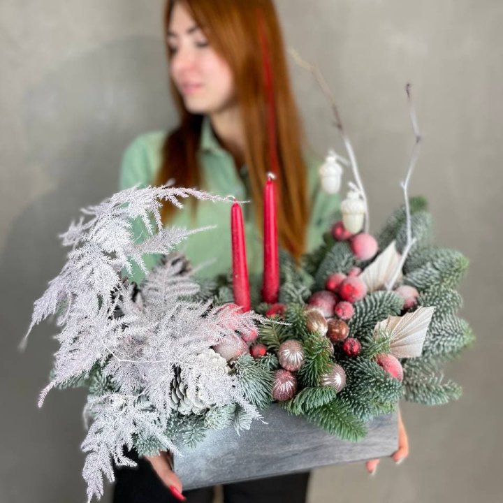 Бокс красный с нобилисом в Краснодаре