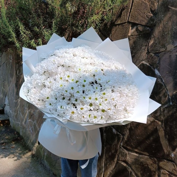 Облако хризантем №2 в Краснодаре