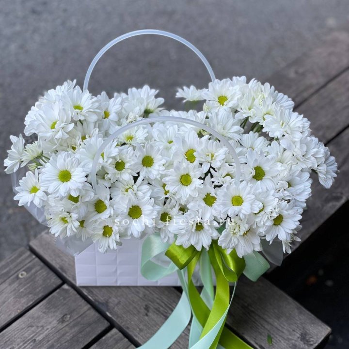 Сумка с хризантемами ромашками в Краснодаре