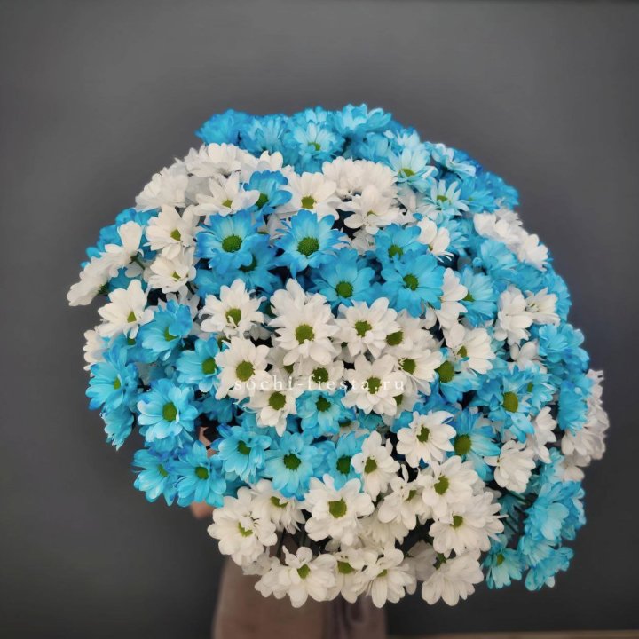  Букет хризантем микс в Краснодаре