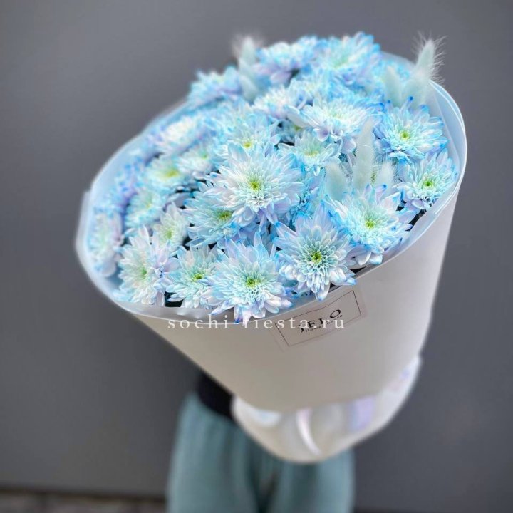  Букет нежно-голубых хризантем  в Краснодаре