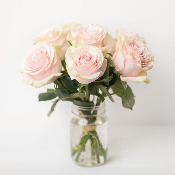 7 кремовых роз в Краснодаре