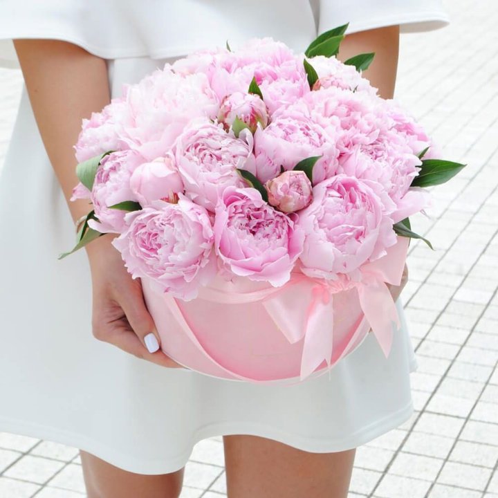 Пионы в шляпной коробке в Краснодаре