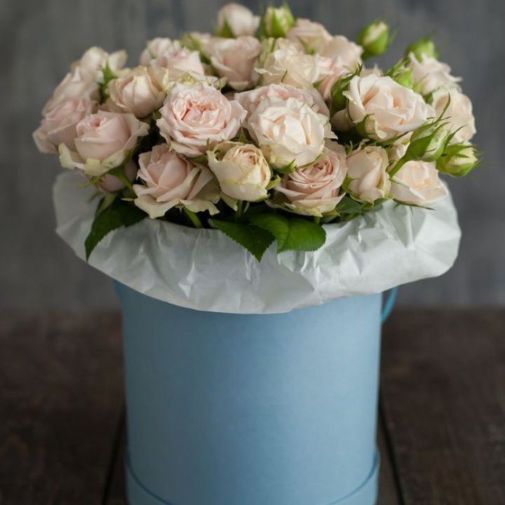 Бокс с бомбастиком в Краснодаре