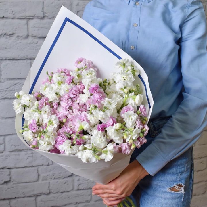 Маттиола в Краснодаре